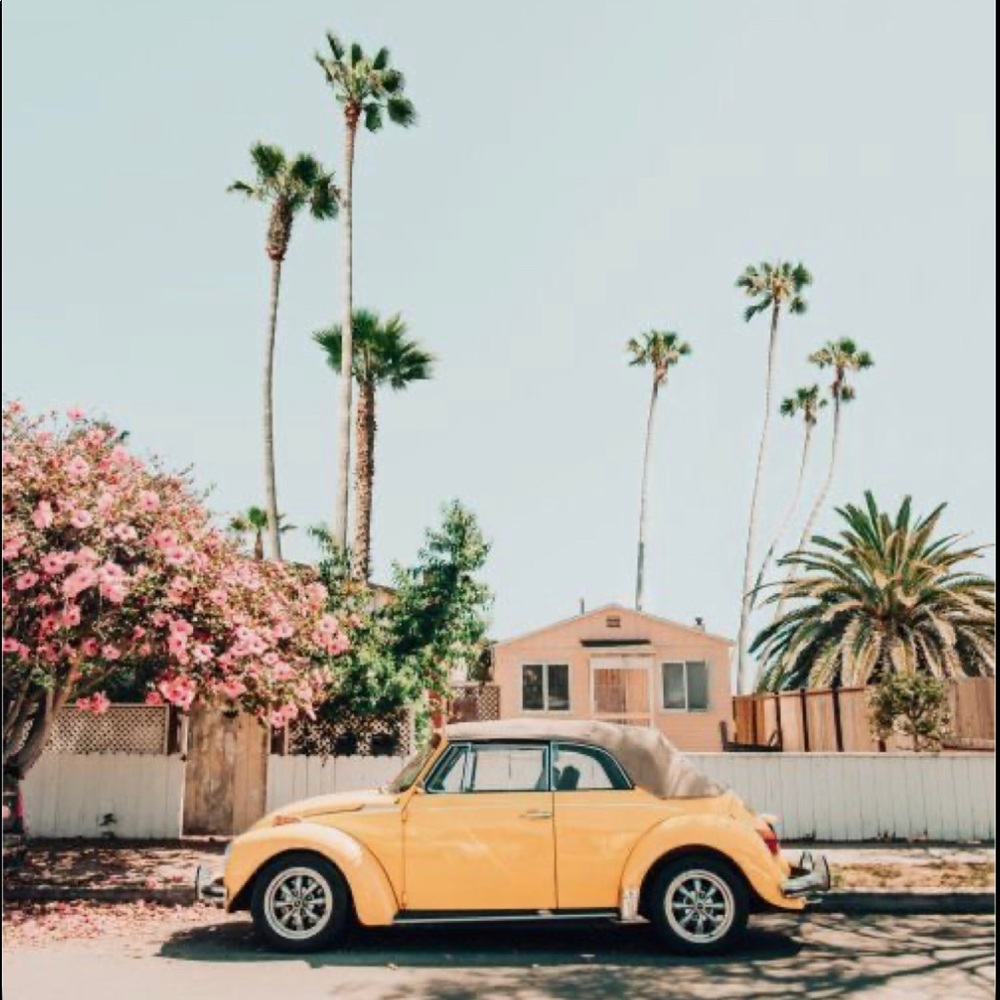 Meet your Posher, Kimmy